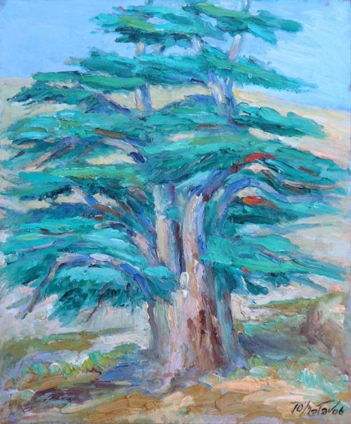 Cedar of Lebanon - Cèdre du Liban