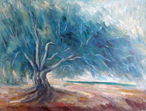 The Olive Tree in the Storm - L'Olivier et la Tempête