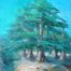 Cèdre du Liban - Cedar of Lebanon - Art print painting
