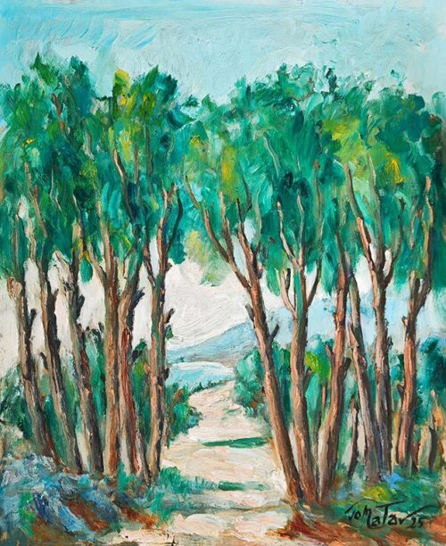 Pine Forest - Pinède